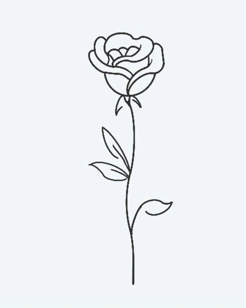 Single Rose