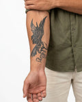 Eagle & Snake