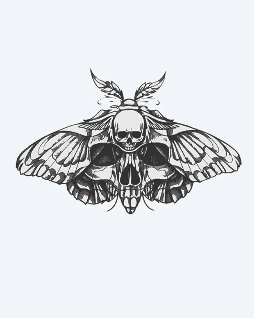 Death's-Head Moth