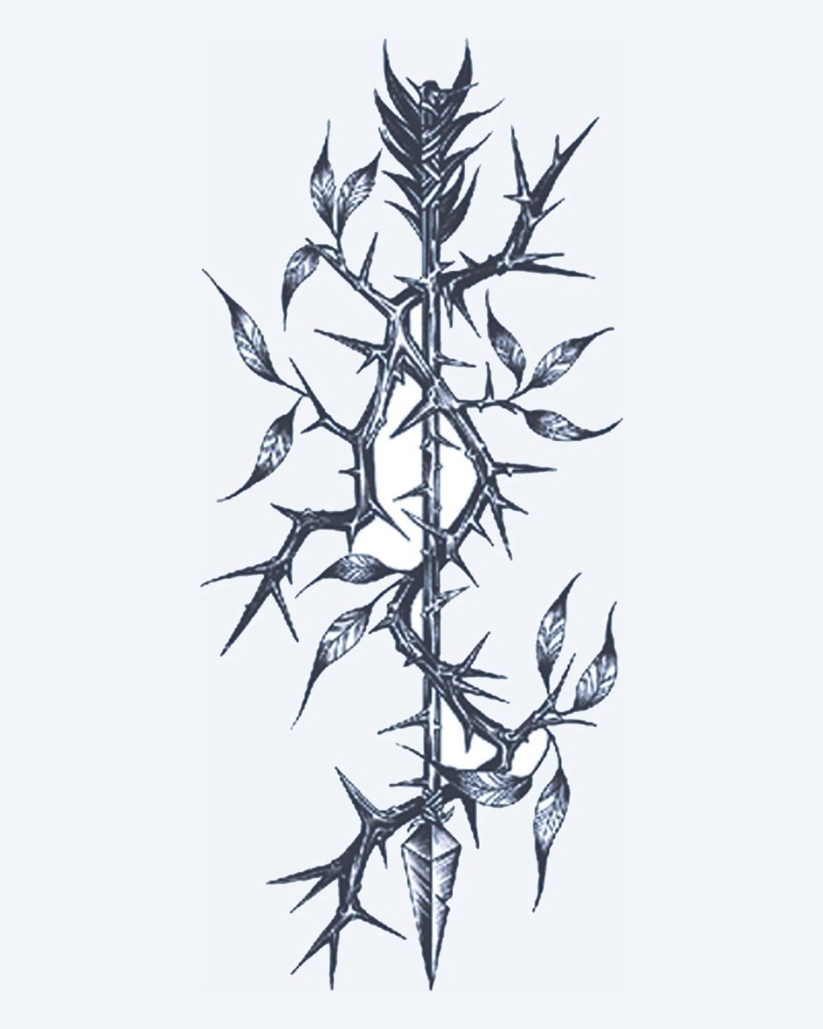 Thorny Branch