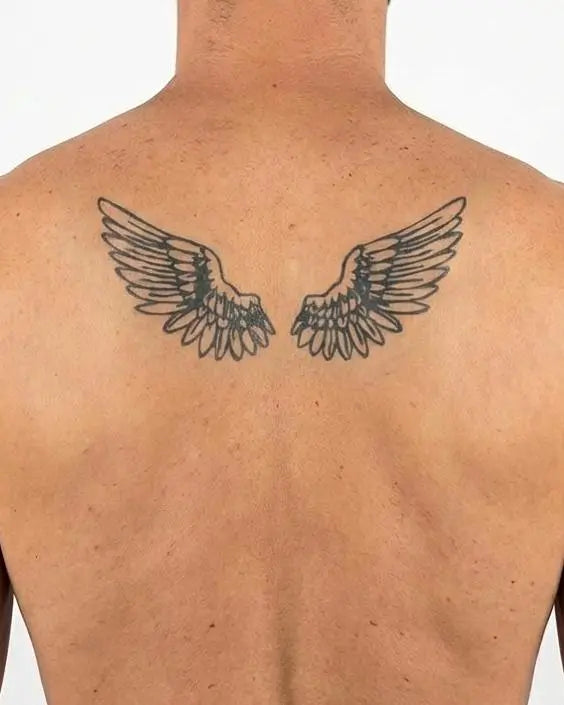 Angel Wings Pair