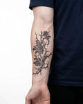 Roses & Thorns