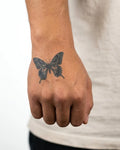 Swallowtail Butterfly