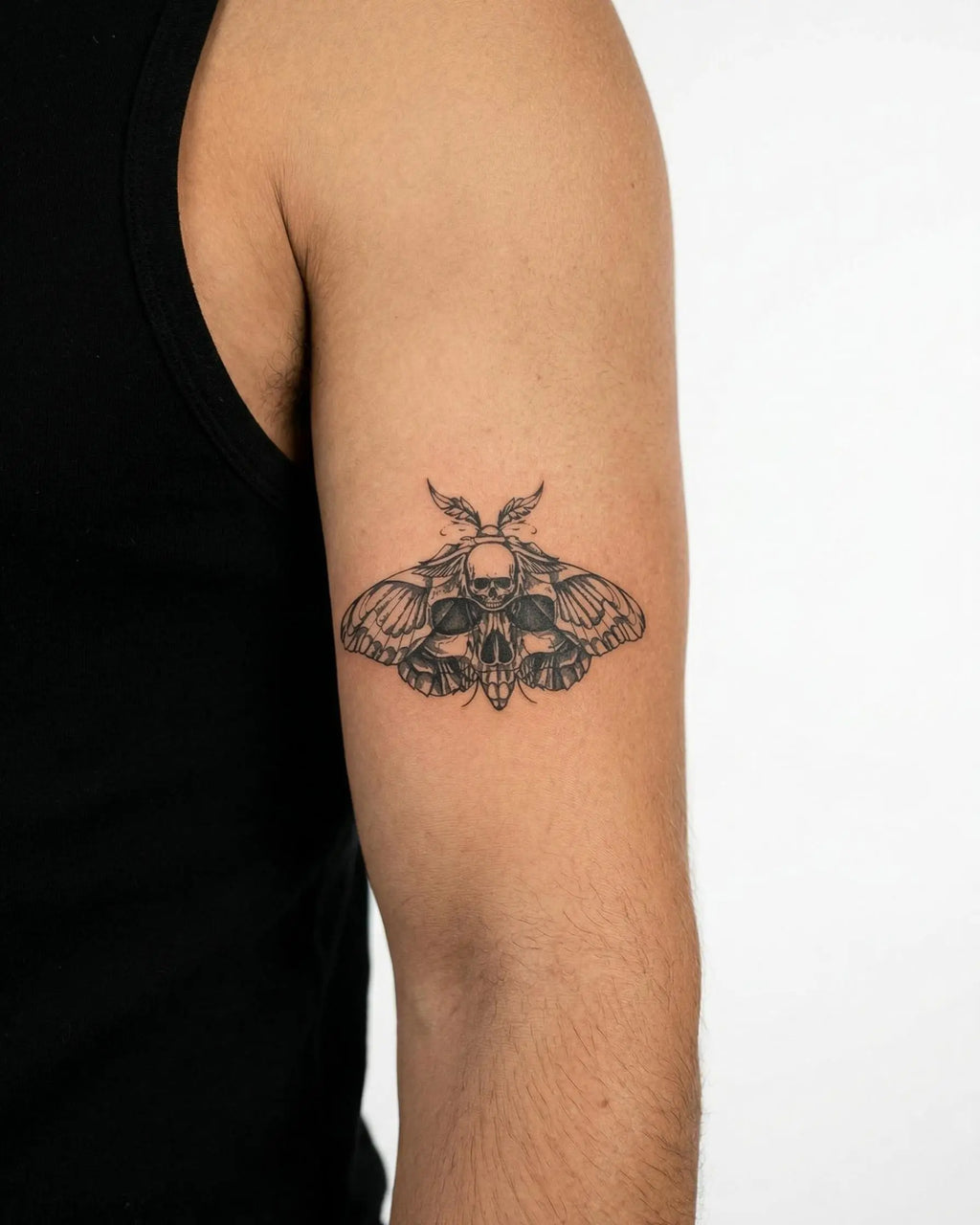 Death's-Head Moth