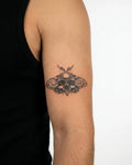 Death's-Head Moth