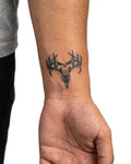 Deer Skull with Antlers