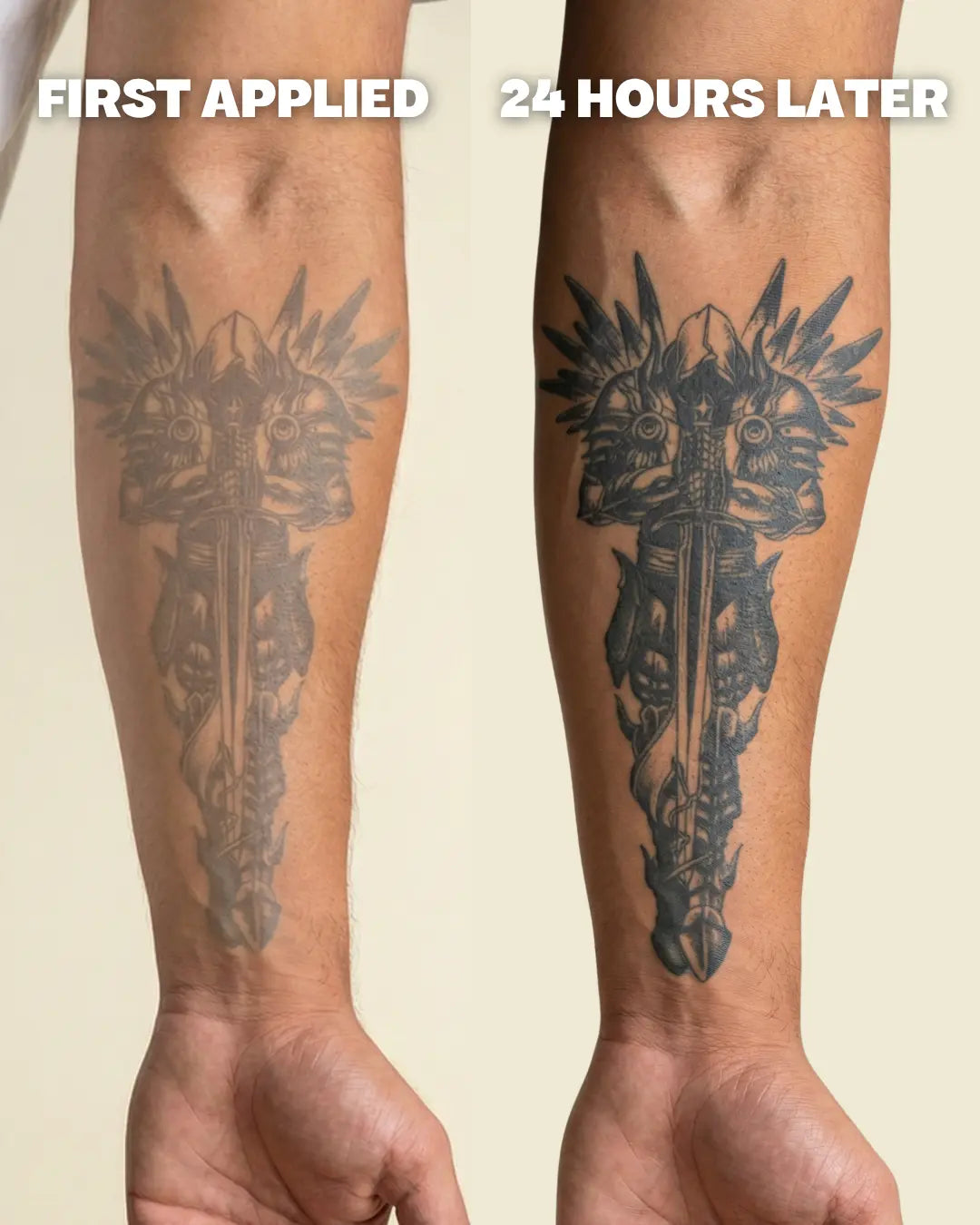 Hammerhead Shark