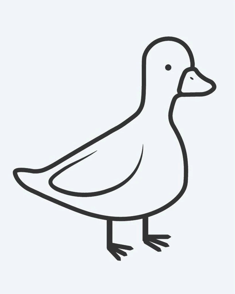 Little Duck