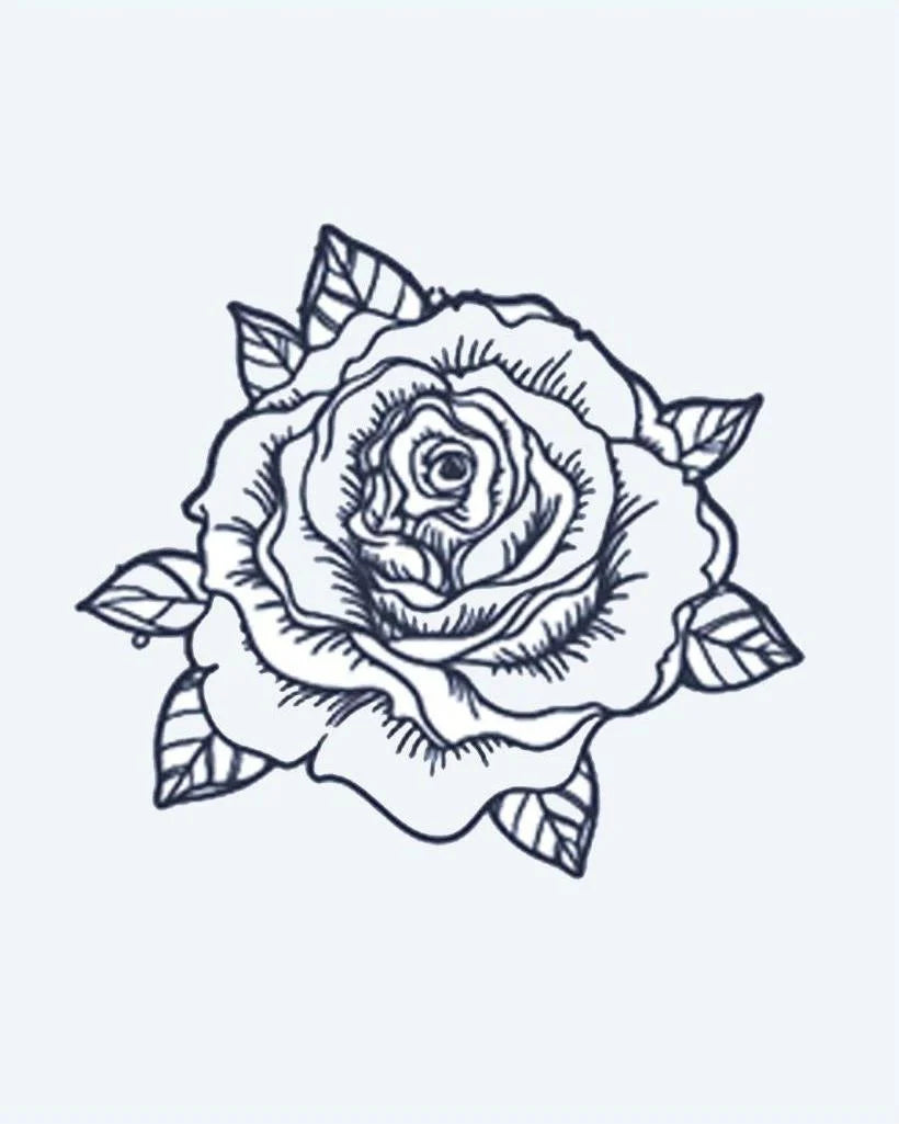 Blooming Rose