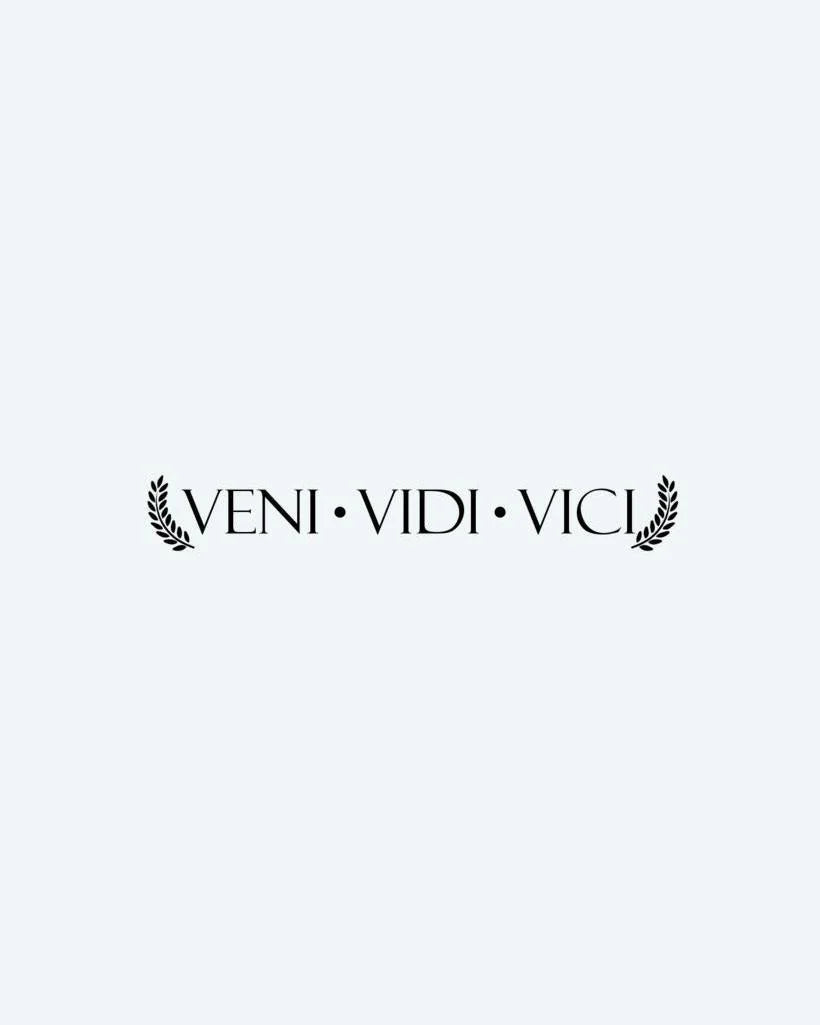 Veni Vidi Vici