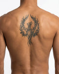 Phoenix Rising 2