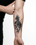Crow & Skull