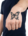 Monarch Butterfly