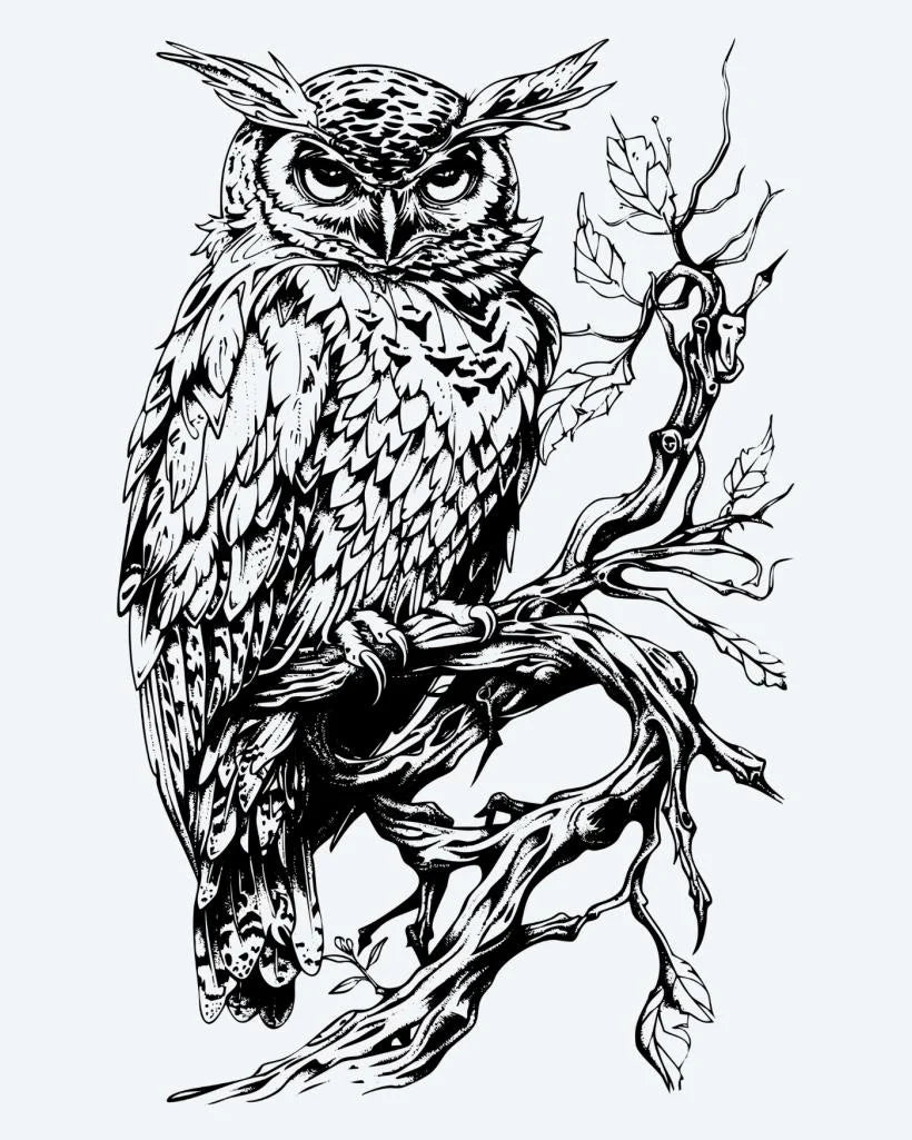 Owl on Branch