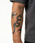 Snake & Scorpions