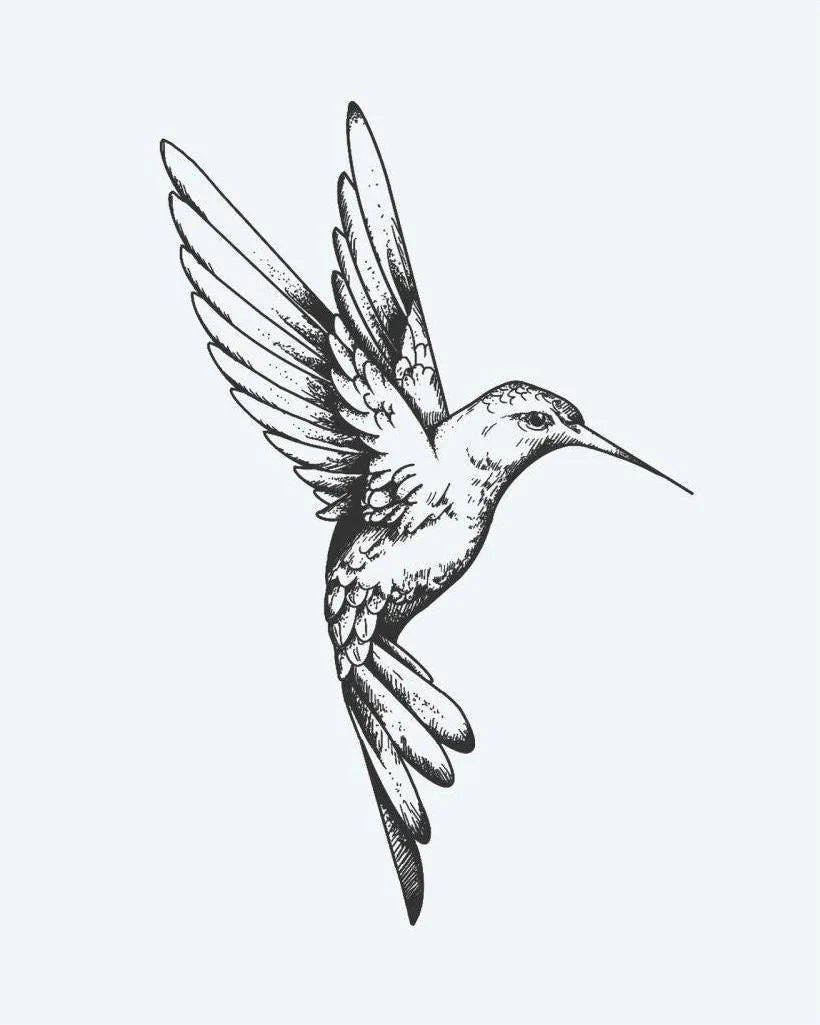 Hummingbird