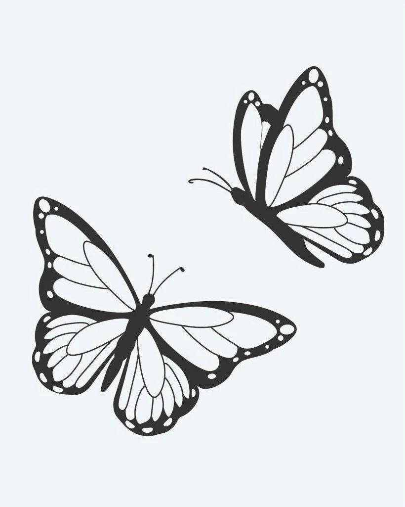 Butterfly Pair