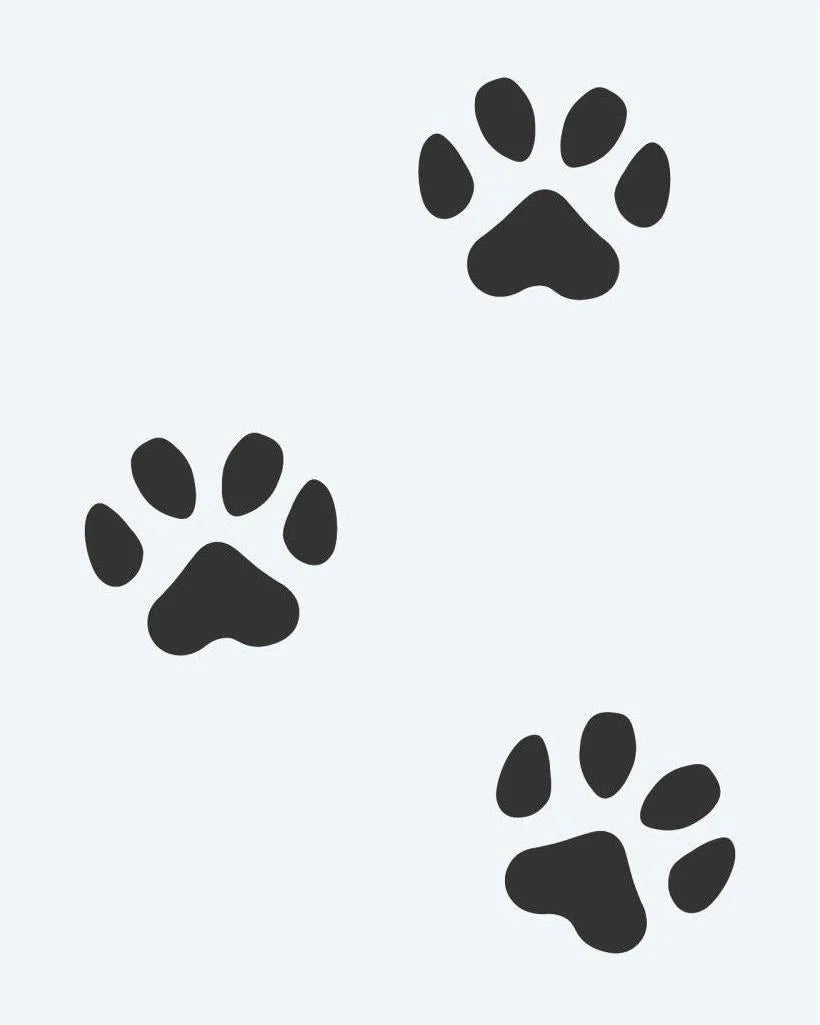 Paw Print Trail