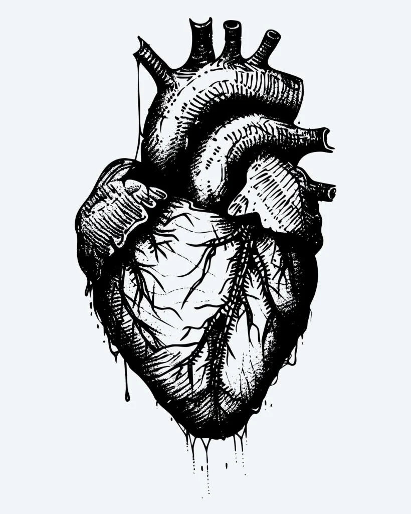 Anatomical Heart