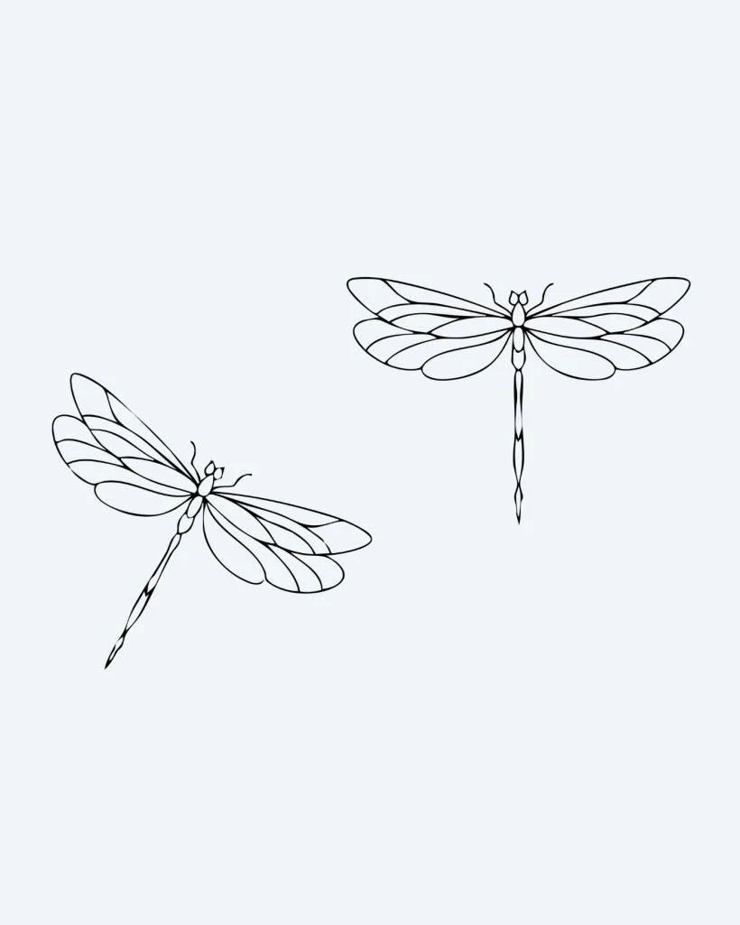 Dragonfly Duo