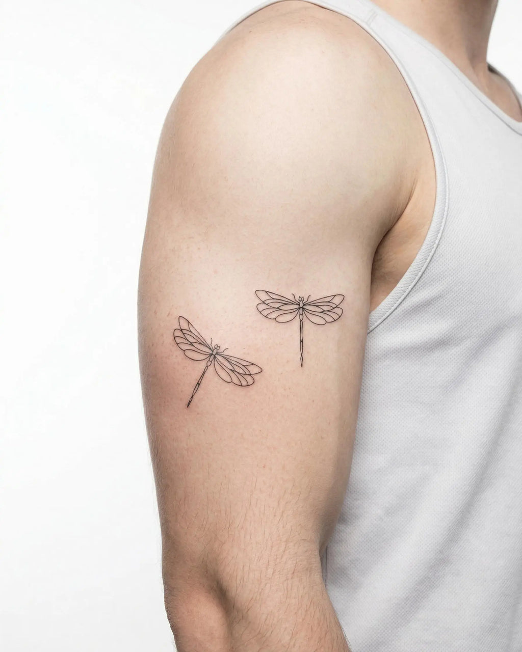 Dragonfly Duo