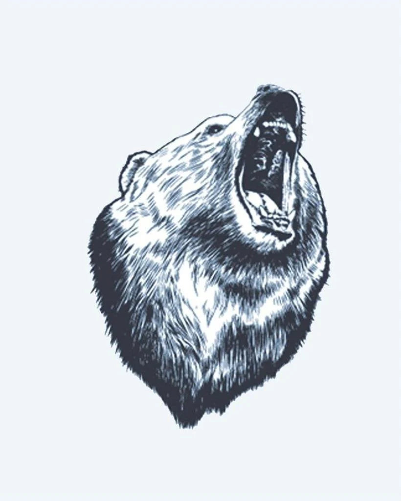 Roaring Bear
