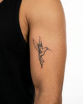 Hummingbird