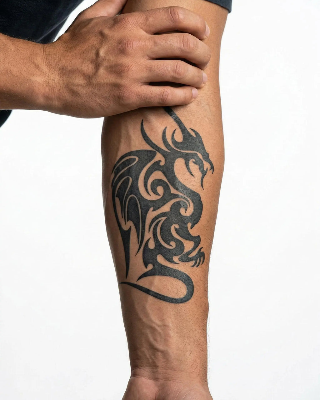 Winged Dragon