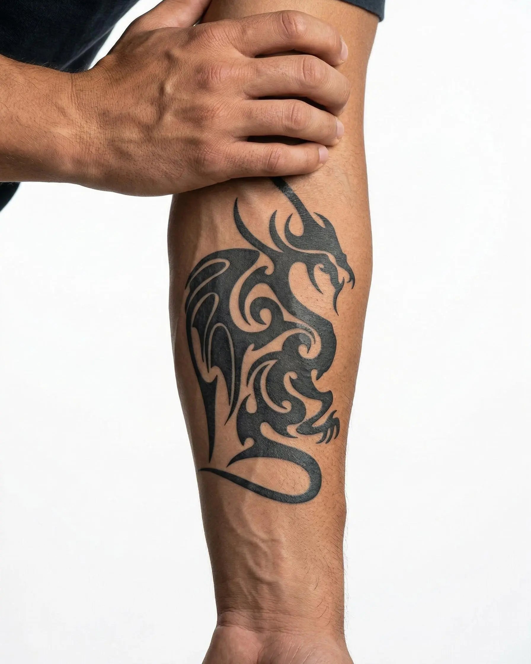Winged Dragon