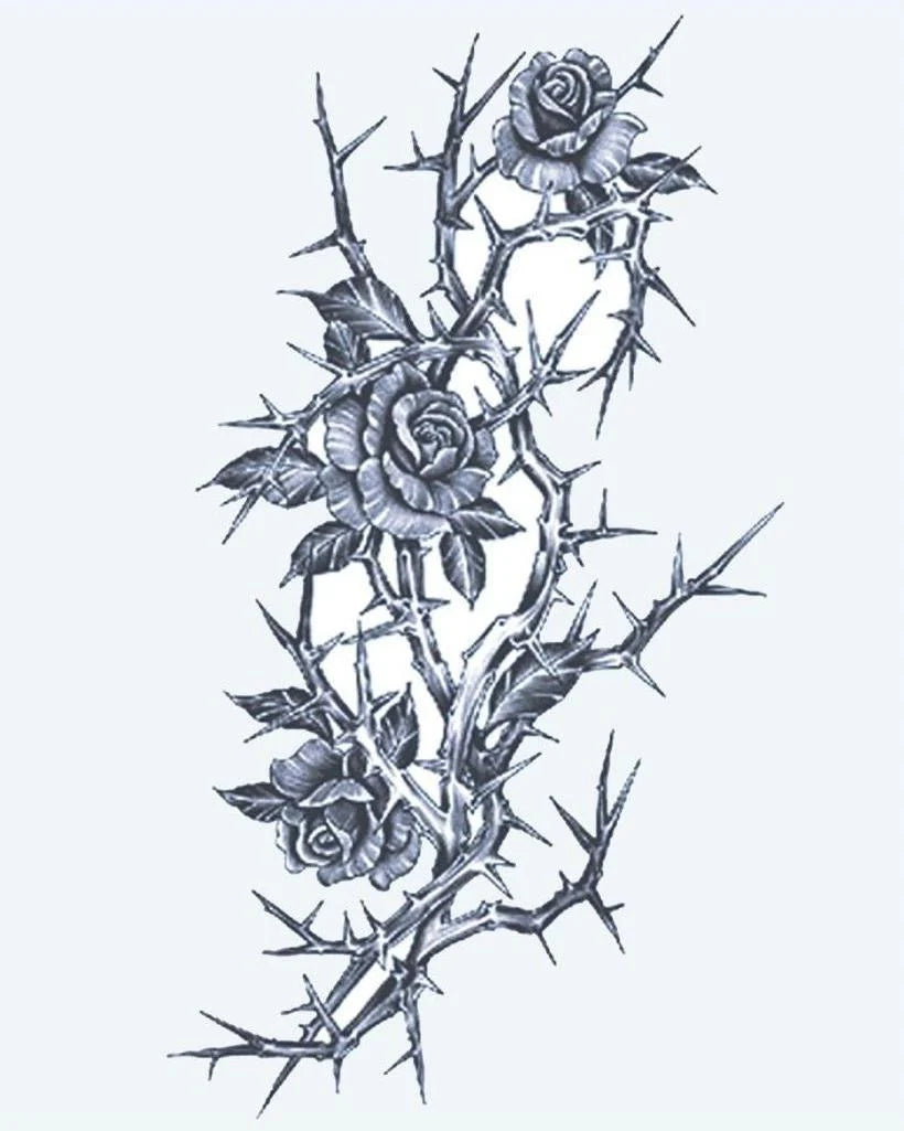 Roses & Thorns