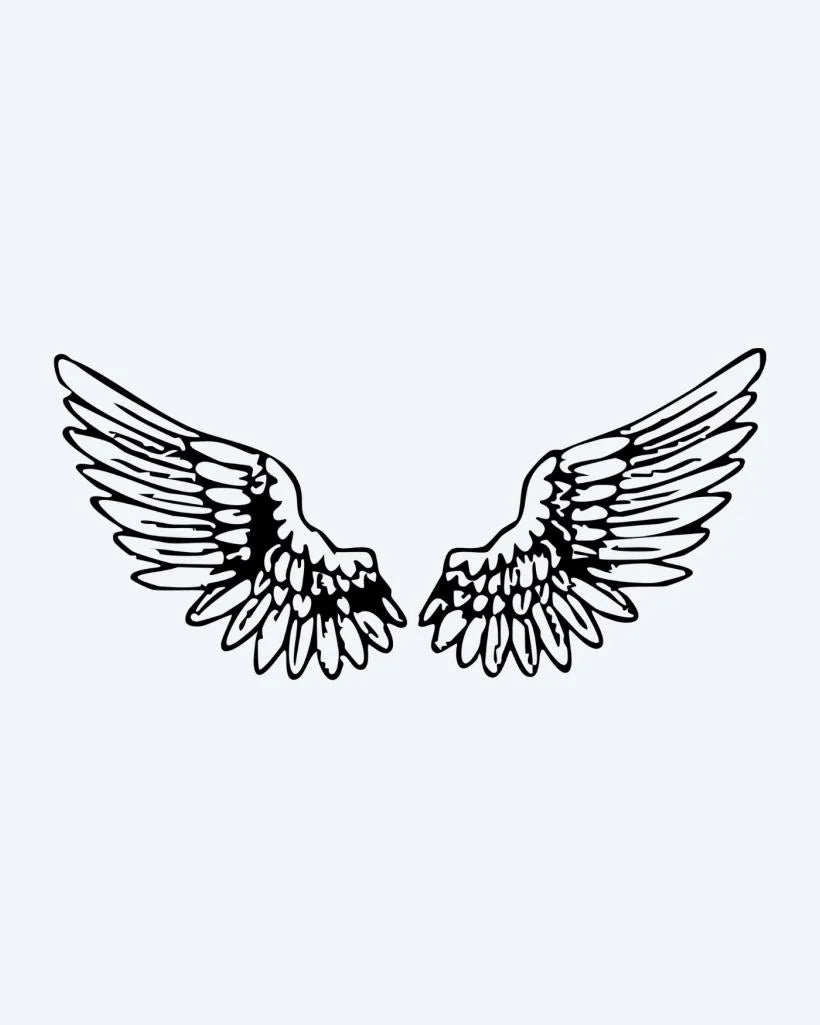 Angel Wings Pair