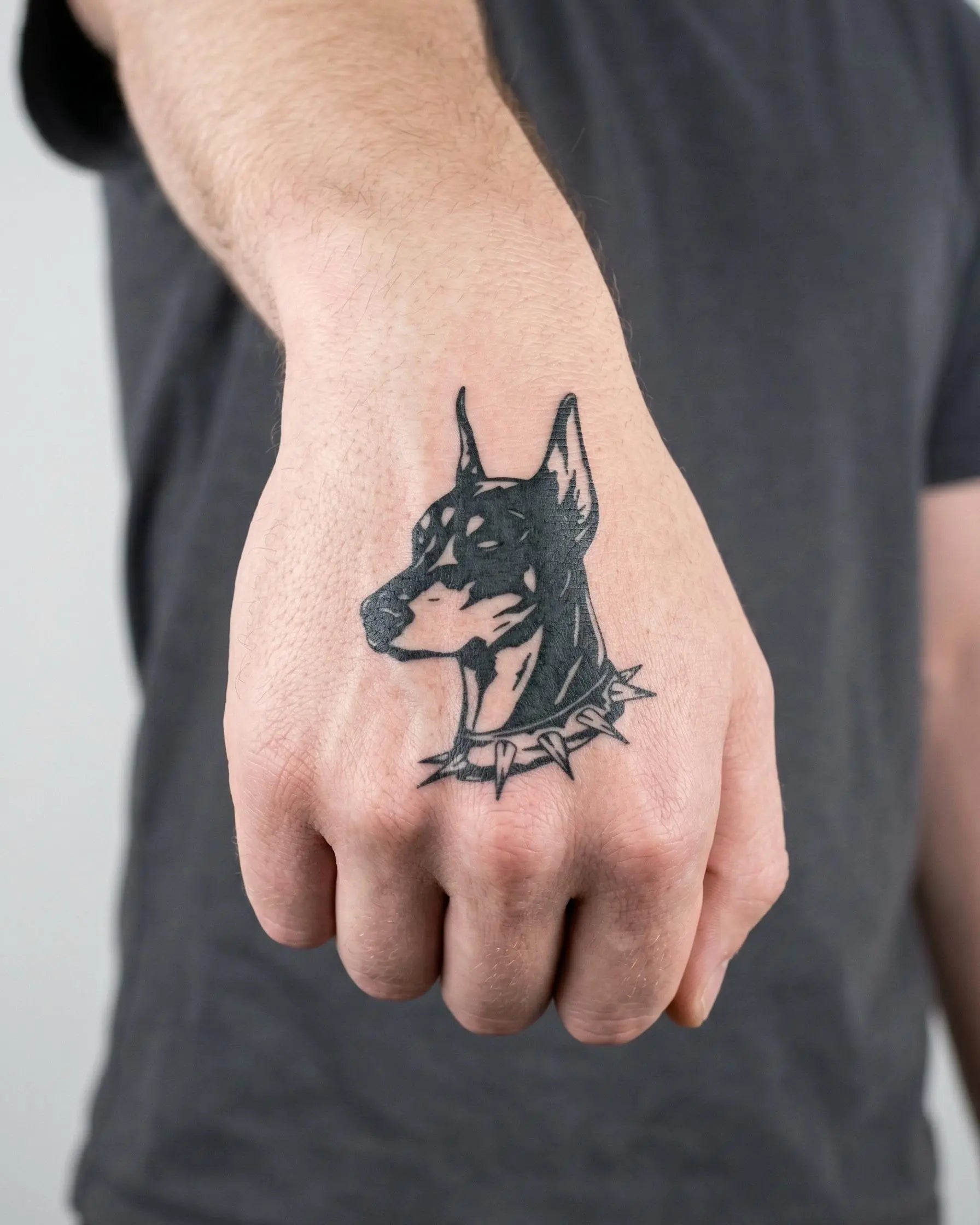 Doberman Portrait