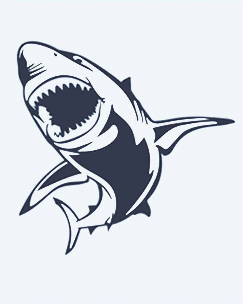 Great White Shark