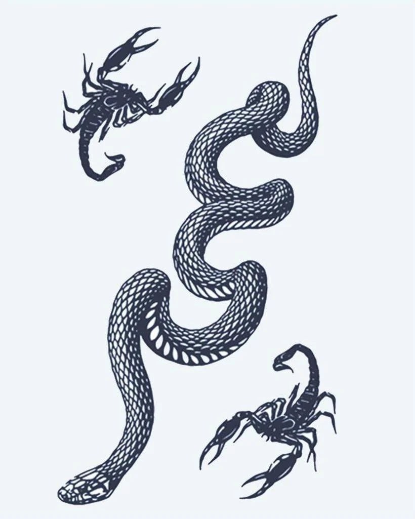 Snake & Scorpions