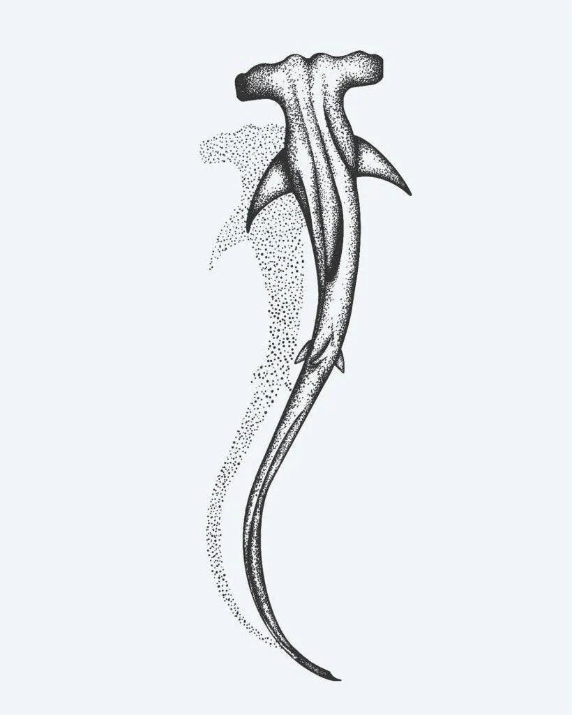 Hammerhead Shark