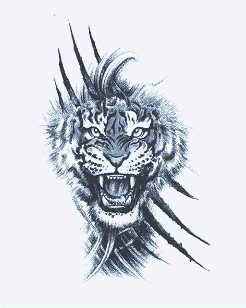 Roaring Tiger & Claws